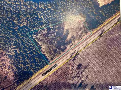 --- Old No 4 Hwy, Coward, SC 29530
