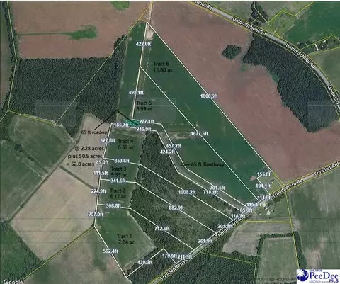 tbd Trinidad Ard Tract 3, Coward, SC 29530