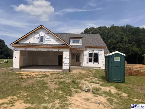 2325 W Billy Farrow Hwy, Hartsville, SC 29550