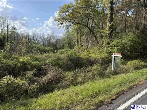 tbd Byrdtown Rd, Hartsville, SC 29550