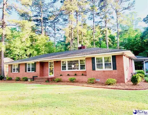 111 Brittain Rd, Darlington, SC 29532