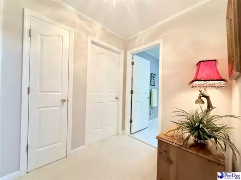 Entry Way - 701 Laurel Ln, Dillon, SC 29536 photo 6 of 6