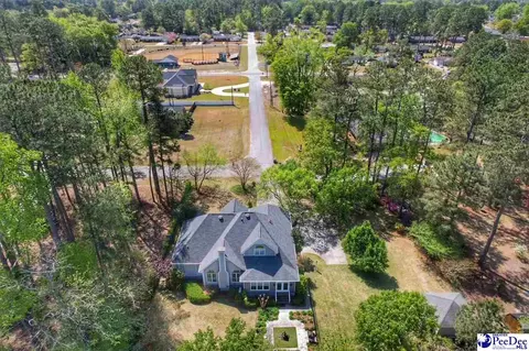 View/Area - 701 Laurel Ln, Dillon, SC 29536 photo 1 of 1