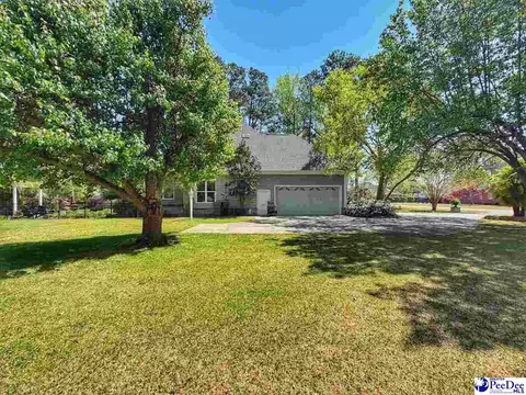 Exterior - 701 Laurel Ln, Dillon, SC 29536 photo 4 of 18