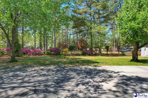 Exterior - 701 Laurel Ln, Dillon, SC 29536 photo 18 of 18