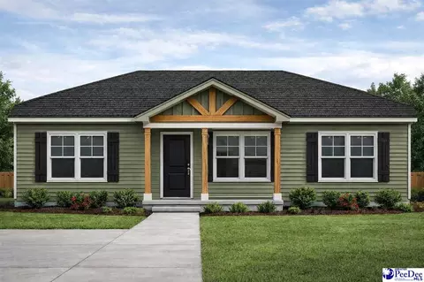 402 Murray St, Marion, SC 29571 photo 1