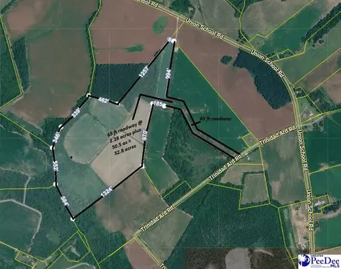 tbd 528 Acres Off Union School Rd, Coward, SC 29530