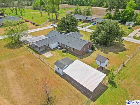View/Area - 4218 Poole Loop, Mullins, SC 29574 photo 3 of 6