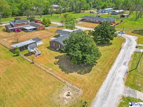 View/Area - 4218 Poole Loop, Mullins, SC 29574 photo 4 of 6