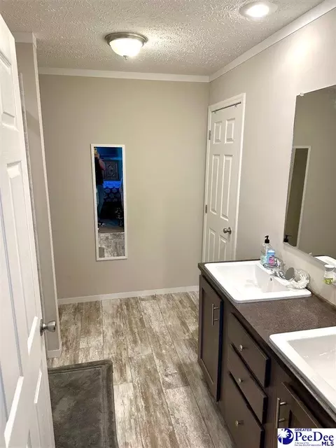 545 Cowpath, Latta, SC 29565 photo 6