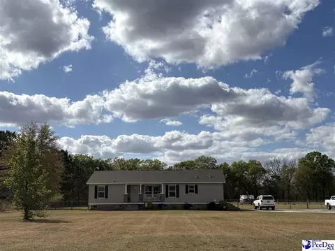 545 Cowpath, Latta, SC 29565 photo 2