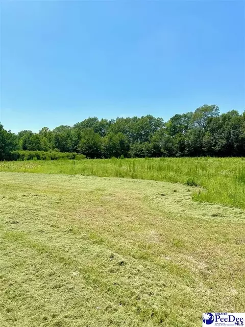 545 Cowpath, Latta, SC 29565 photo 23