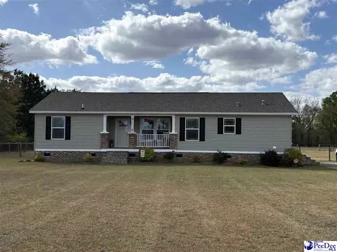 545 Cowpath, Latta, SC 29565 photo 1
