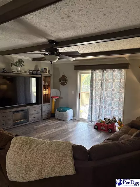 545 Cowpath, Latta, SC 29565 photo 16