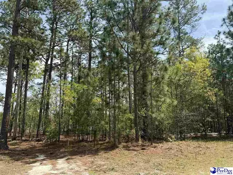 tbd Sandbar Ct, Dillon, SC 29536