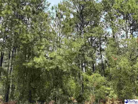 tbd Skylite Dr, Dillon, SC 29536