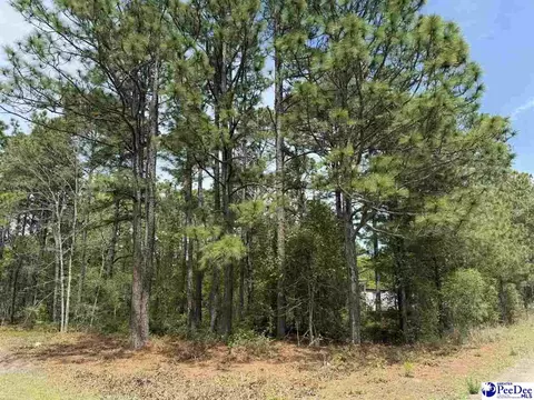 tbd Skylite Dr, Dillon, SC 29536 photo 2
