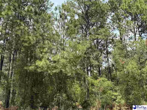 tbd Skylite Dr, Dillon, SC 29536