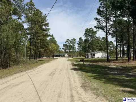 tbd Skylite Dr, Dillon, SC 29536 photo 3