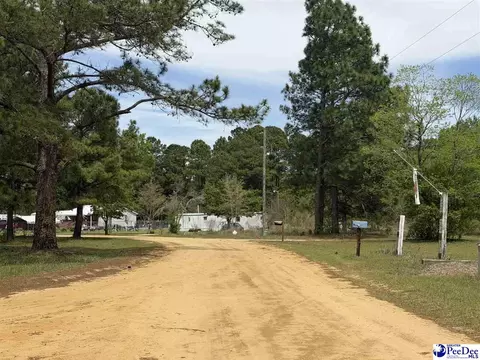 tbd Twilight Dr, Dillon, SC 29536 photo 3