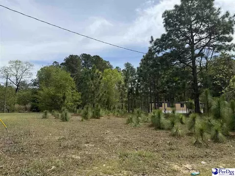 tbd Twilight Dr, Dillon, SC 29536 photo 2