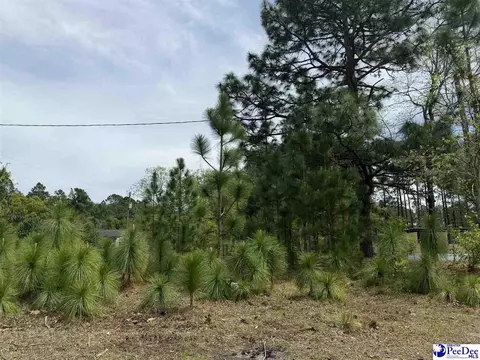 tbd Twilight Dr, Dillon, SC 29536
