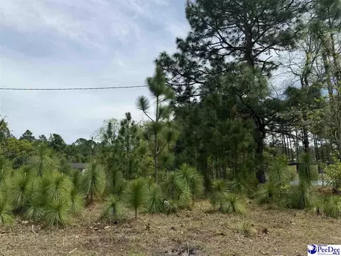 tbd Twilight Dr, Dillon, SC 29536