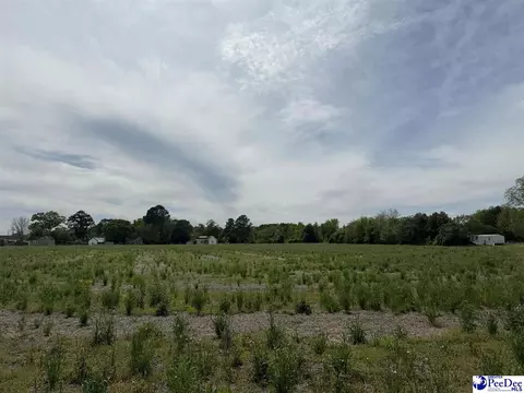 tbd Walnut St, Dillon, SC 29536 photo 5