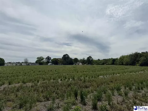 tbd Walnut St, Dillon, SC 29536
