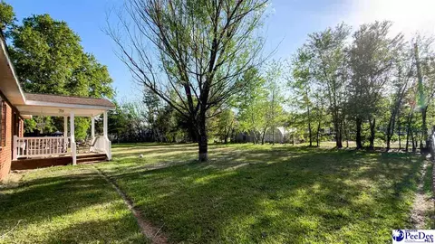 Other - 113 Dudley Dr, Lamar, SC 29069 photo 12 of 18
