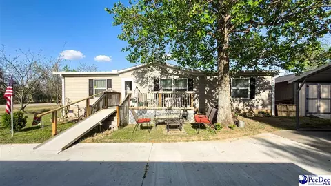 Other - 113 Dudley Dr, Lamar, SC 29069 photo 14 of 18