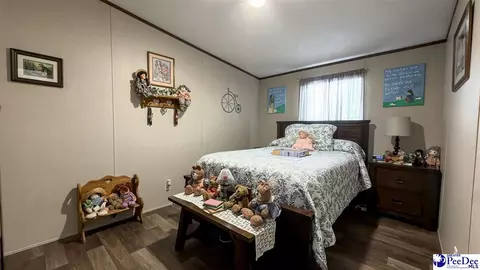 Bedroom - 113 Dudley Dr, Lamar, SC 29069 photo 10 of 10