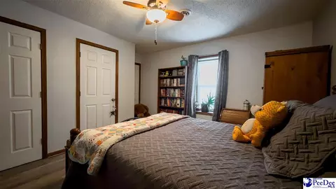 Bedroom - 113 Dudley Dr, Lamar, SC 29069 photo 6 of 10