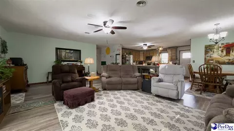 Other - 113 Dudley Dr, Lamar, SC 29069 photo 8 of 18