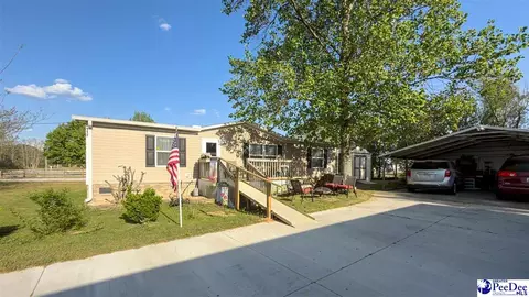 Other - 113 Dudley Dr, Lamar, SC 29069 photo 13 of 18