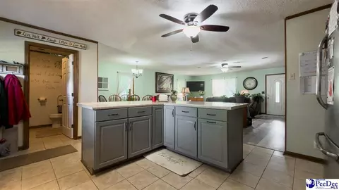 Other - 113 Dudley Dr, Lamar, SC 29069 photo 4 of 18