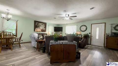 Other - 113 Dudley Dr, Lamar, SC 29069 photo 7 of 18