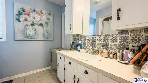 Bath - 113 Dudley Dr, Lamar, SC 29069 photo 3 of 5