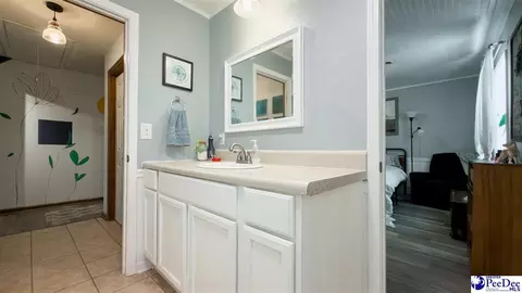 Bath - 113 Dudley Dr, Lamar, SC 29069 photo 1 of 5