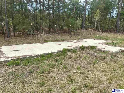 2886 Stephens Rd # C, Bethune, SC 29009 photo 13