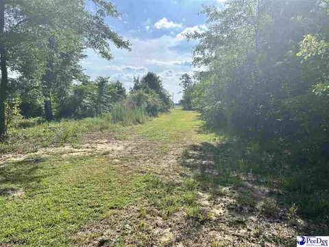 2886 Stephens Rd # C, Bethune, SC 29009 photo 3