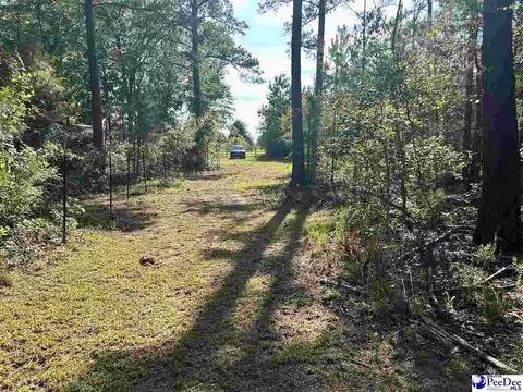 2886 Stephens Rd # C, Bethune, SC 29009 photo 7