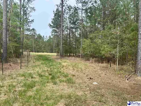 2886 Stephens Rd # C, Bethune, SC 29009 photo 11