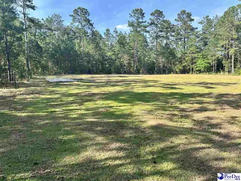 2886 Stephens Rd # C, Bethune, SC 29009 photo 6