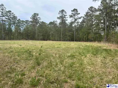 2886 Stephens Rd # C, Bethune, SC 29009 photo 15