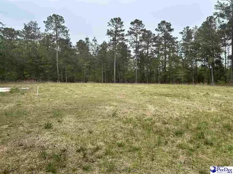 2886 Stephens Rd # C, Bethune, SC 29009 photo 14