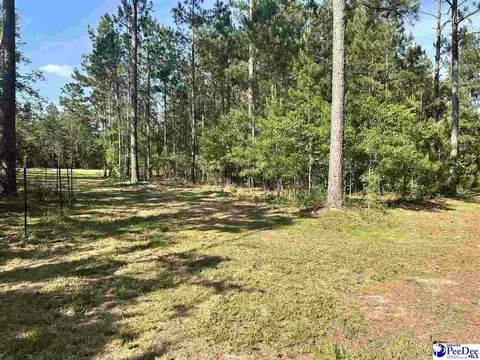 2886 Stephens Rd # C, Bethune, SC 29009 photo 4