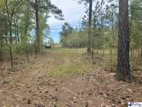 2886 Stephens Rd # C, Bethune, SC 29009 photo 12