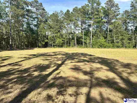 2886 Stephens Rd # C, Bethune, SC 29009 photo 10