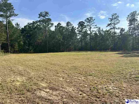 2886 Stephens Rd # C, Bethune, SC 29009 photo 9